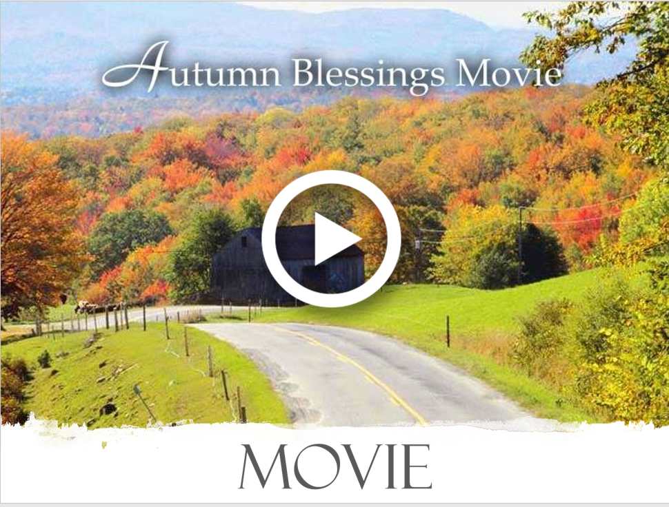 92319 movie
