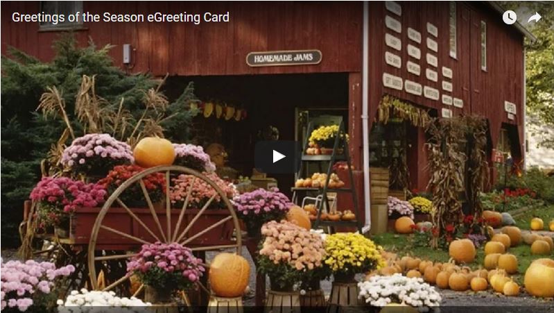 harvest season egc