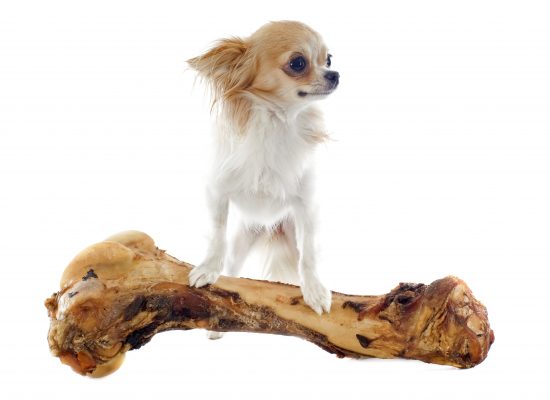 iStock-158536782-550x400